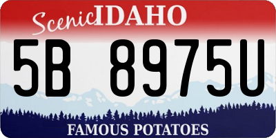 ID license plate 5B8975U