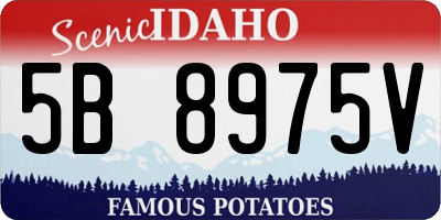 ID license plate 5B8975V
