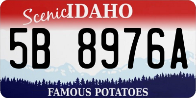 ID license plate 5B8976A