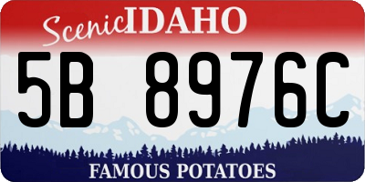 ID license plate 5B8976C