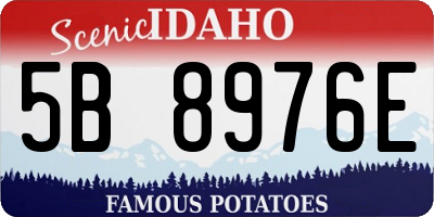 ID license plate 5B8976E