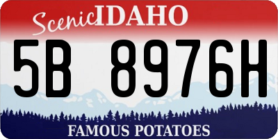 ID license plate 5B8976H