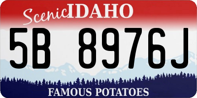ID license plate 5B8976J