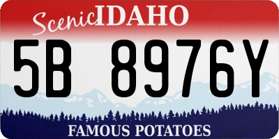ID license plate 5B8976Y