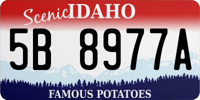 ID license plate 5B8977A