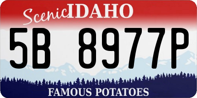 ID license plate 5B8977P