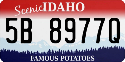 ID license plate 5B8977Q
