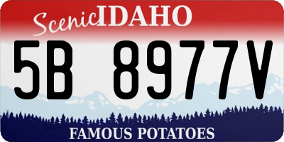 ID license plate 5B8977V