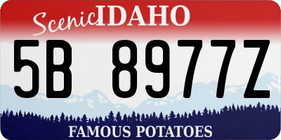 ID license plate 5B8977Z