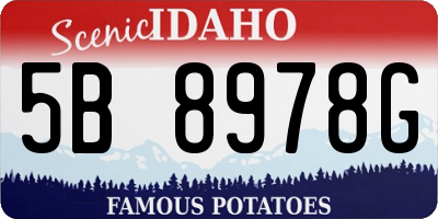 ID license plate 5B8978G