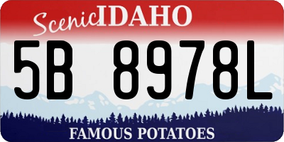 ID license plate 5B8978L