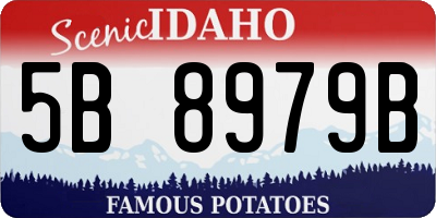 ID license plate 5B8979B