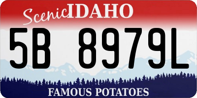 ID license plate 5B8979L