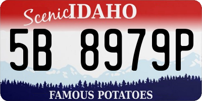 ID license plate 5B8979P