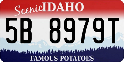 ID license plate 5B8979T