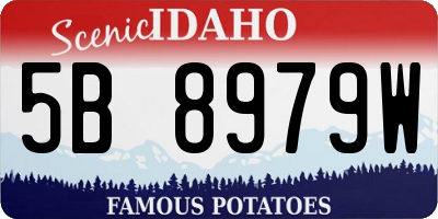 ID license plate 5B8979W