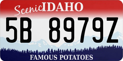 ID license plate 5B8979Z