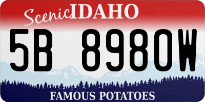 ID license plate 5B8980W
