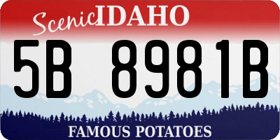 ID license plate 5B8981B