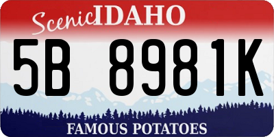 ID license plate 5B8981K