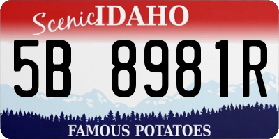 ID license plate 5B8981R