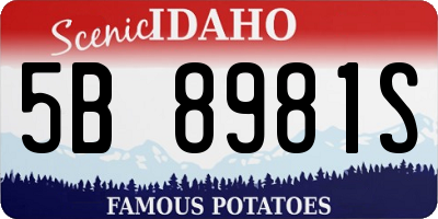 ID license plate 5B8981S