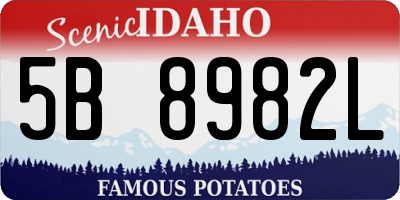 ID license plate 5B8982L