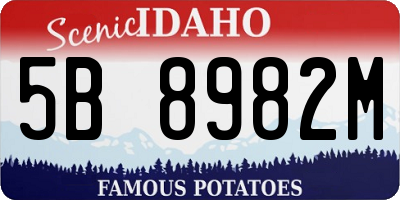 ID license plate 5B8982M