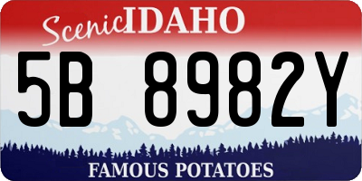 ID license plate 5B8982Y