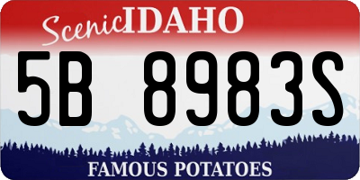 ID license plate 5B8983S