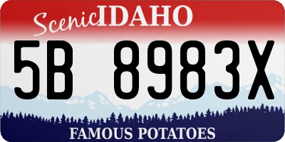 ID license plate 5B8983X