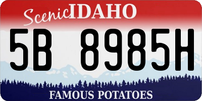 ID license plate 5B8985H