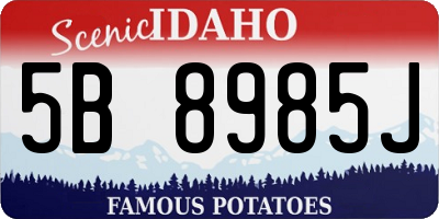 ID license plate 5B8985J