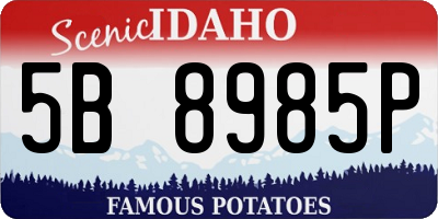 ID license plate 5B8985P