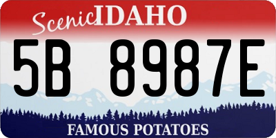ID license plate 5B8987E