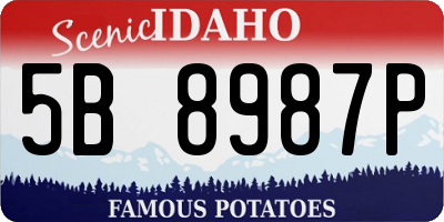 ID license plate 5B8987P