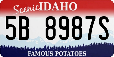 ID license plate 5B8987S