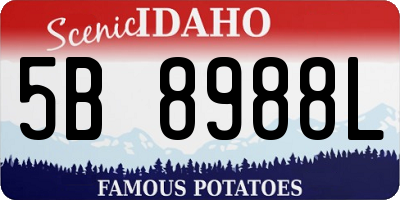 ID license plate 5B8988L