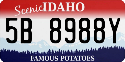 ID license plate 5B8988Y