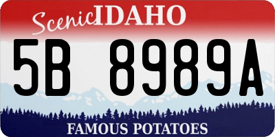 ID license plate 5B8989A