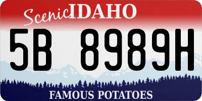ID license plate 5B8989H