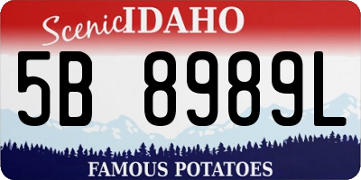 ID license plate 5B8989L