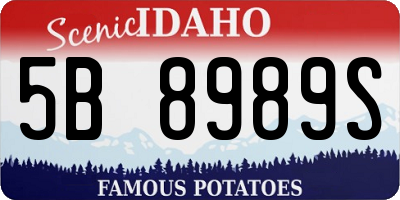 ID license plate 5B8989S