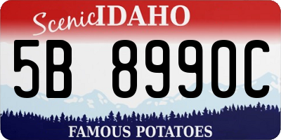 ID license plate 5B8990C