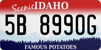 ID license plate 5B8990G