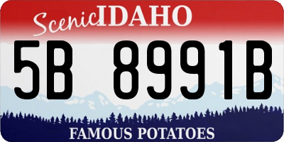 ID license plate 5B8991B