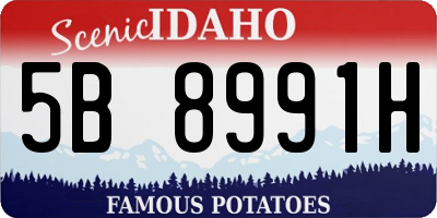 ID license plate 5B8991H