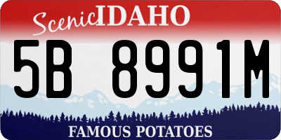 ID license plate 5B8991M