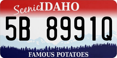 ID license plate 5B8991Q