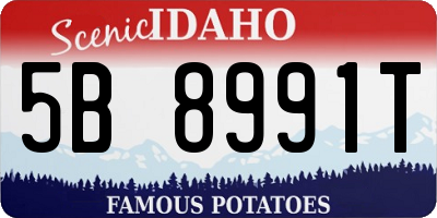 ID license plate 5B8991T